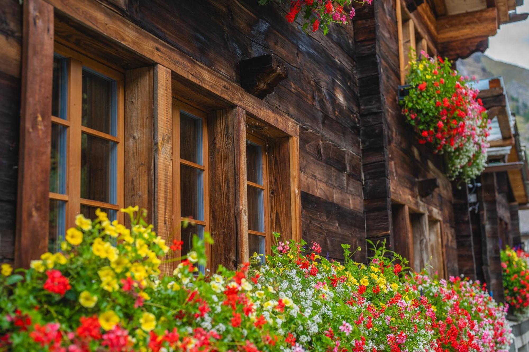 Chalet Schuler Zermatt Eksteriør bilde